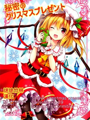 (C89)(同人誌)秘密のクリスマスプレゼント (東方Project)(非エロ)[迷途竹林漢化]