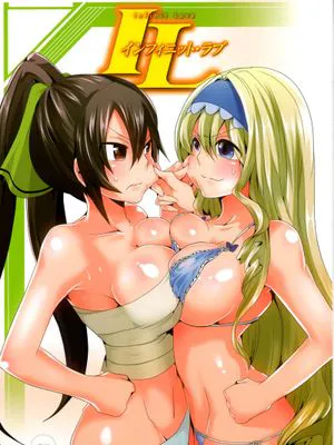Infinit Love(Infinite Stratos)