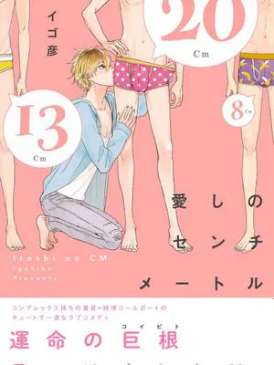 愛しのセンチメートル丨爱情的长度