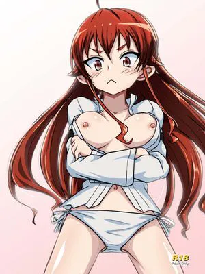 むしょく! (红)