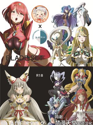 BLADE SET DX (ゼノブレイド2) [中国翻訳] [DL版]