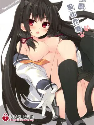 磯風猫化作戦