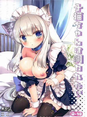 (コミティア127) 子猫ちゃんは飼われたい [中国翻訳]