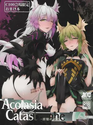 C100会場限定おまけ本 Acolasia Catastrophe -淫墮の矢文- (Fate/Grand Order)