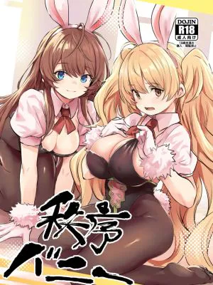 秩序バニー (グランブルーファンタジー)