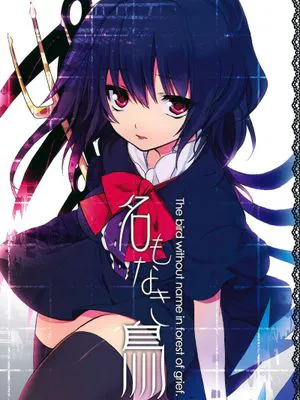 东方封兽鵺CM本子2本