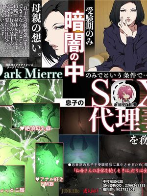 きっつい性格の教育ママが、受験期のみ暗闇の中のみという条件で息子のセックス代理妻を務める話。[中国翻訳]