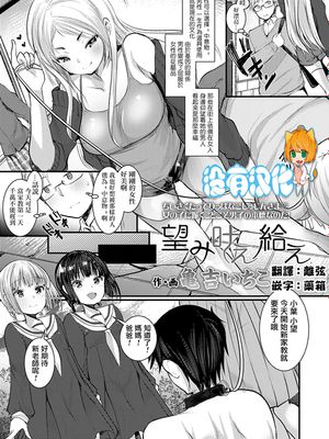 望み叶え給え (ガールズフォーム Vol.20) [中国翻訳]
