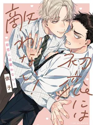 初恋には敵わない！｜敌不过的初恋！