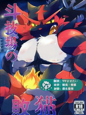 斗技场的败猫
