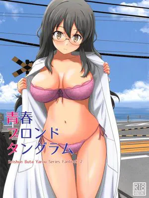 青春ブロンドタングラム (青春ブタ野郎はバニーガール先輩の夢を見ない) [中国翻訳]