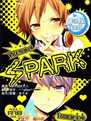 SPARK (Persona 4)
