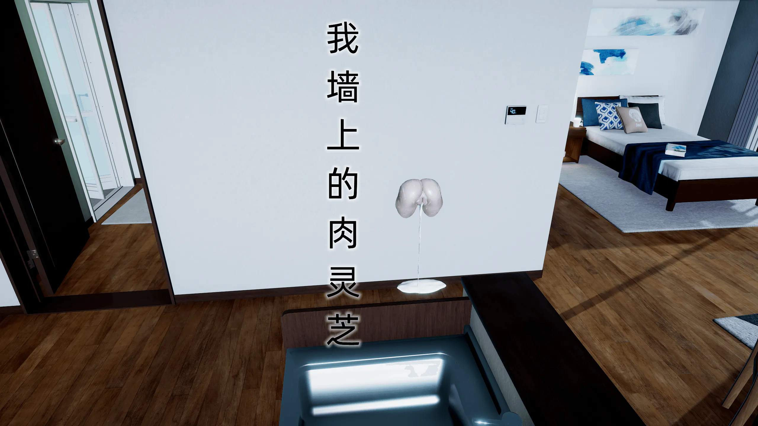 我墙上的肉灵芝