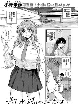 汽水域の二匹は (コミックゼロス #111)