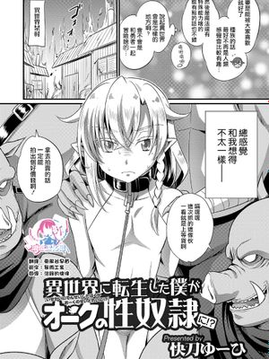 異世界に転生した僕がオークの性奴●に!? (オトコのコHEAVEN’S DOOR 11)