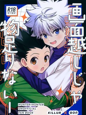 画面越しじゃ物足りない! (ハンター×ハンター)