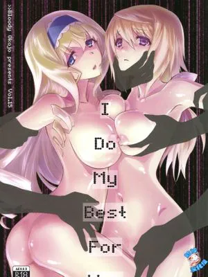 I Do My Best For You (无限斯特拉托斯)