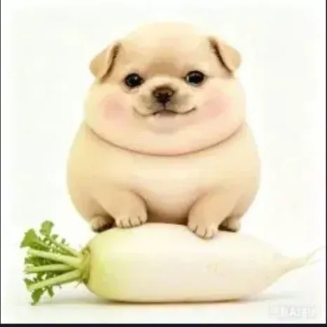 五
