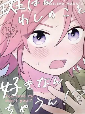 【樱河琥珀X三毛缟斑】斑はんわしなこと好きなんちゃうん!