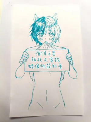 自设画集
