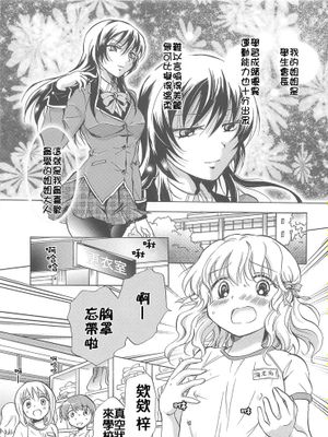 [补丁布丁汉化组E][peachpulsar (みら)] 私のイケナイお姉ちゃん 系列全3话