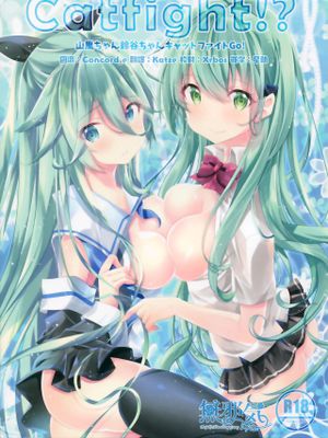 (C96) Catfight⁉ (艦隊これくしょん -艦これ-)[中国翻訳]