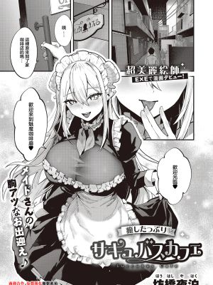 癒したっぷり♡サキュバスカフェ (コミック エグゼ 65)