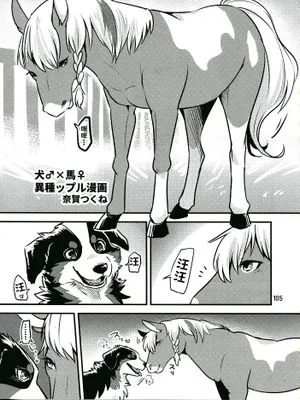 犬♂×馬♀