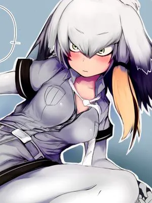 ハシビロコウちゃん (けものフレンズ)