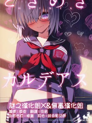 (C94) ときめきカルデアス (Fate Grand Order)