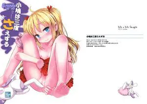 (C81)(同人誌)[tete a tete fragile (佐々原憂樹)] 小鳩は三度さえずる (僕は友達が少ない)[Genesis漢化]