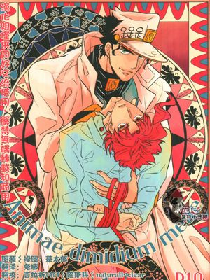 [JOJO]我灵魂的二分之一