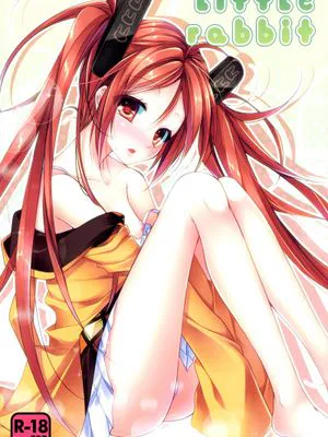 (SC64)little rabbit (Black Bullet)