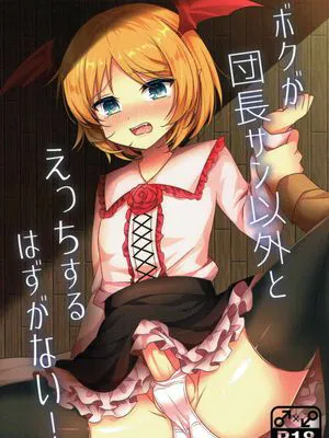 ボクが団長サン以外とえっちするはずがない! (グランブルーファンタジー)