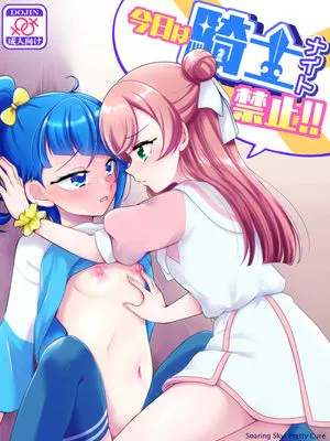 今日は騎士禁止!! (ひろがるスカイ!プリキュア)