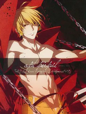 apt pupil (Fate/Zero)