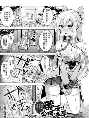 精靈族良家公主殿下薬漬け公開陵辱