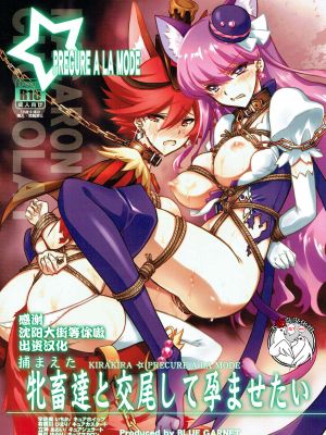 (C92)  捕まえた牝畜達と交尾して孕ませたい (キラキラ☆プリキュアアラモード) [中国翻訳]