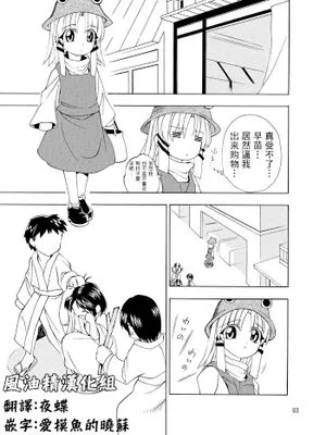 (例大祭5) DON'T TOUCH ME (東方Project) [中国翻訳]