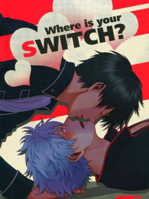 Where is your SWITCH? (銀魂)