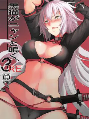 (C96)  黒猫がニャンと鳴く。3RE (Fate/Grand Order)