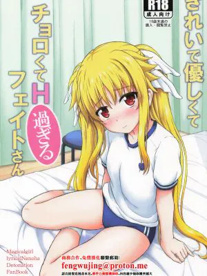 きれいで優しくてチョロくてH過ぎるフェイトさん (魔法少女リリカルなのは)