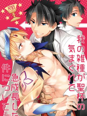 我の雑種が聖杯の気まぐれで急成長した件について (Fate/Grand Order)