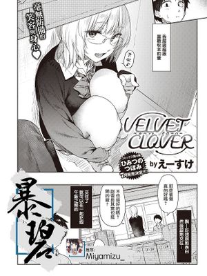 VELVET CLOVER | 天鹅绒三叶草